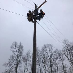 Meet your Posher, Cameron